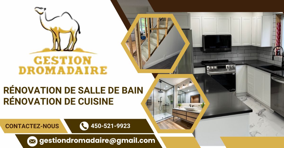 Gestion dromadaire 1 1