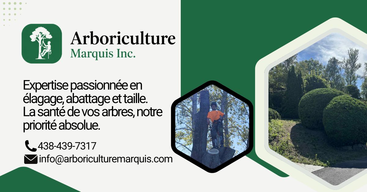 Arboriculture Marquis