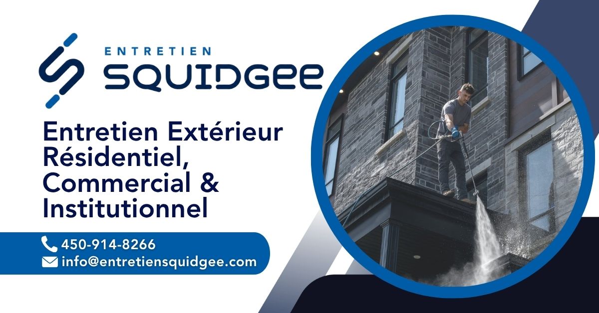 Entretien Squidgee 1
