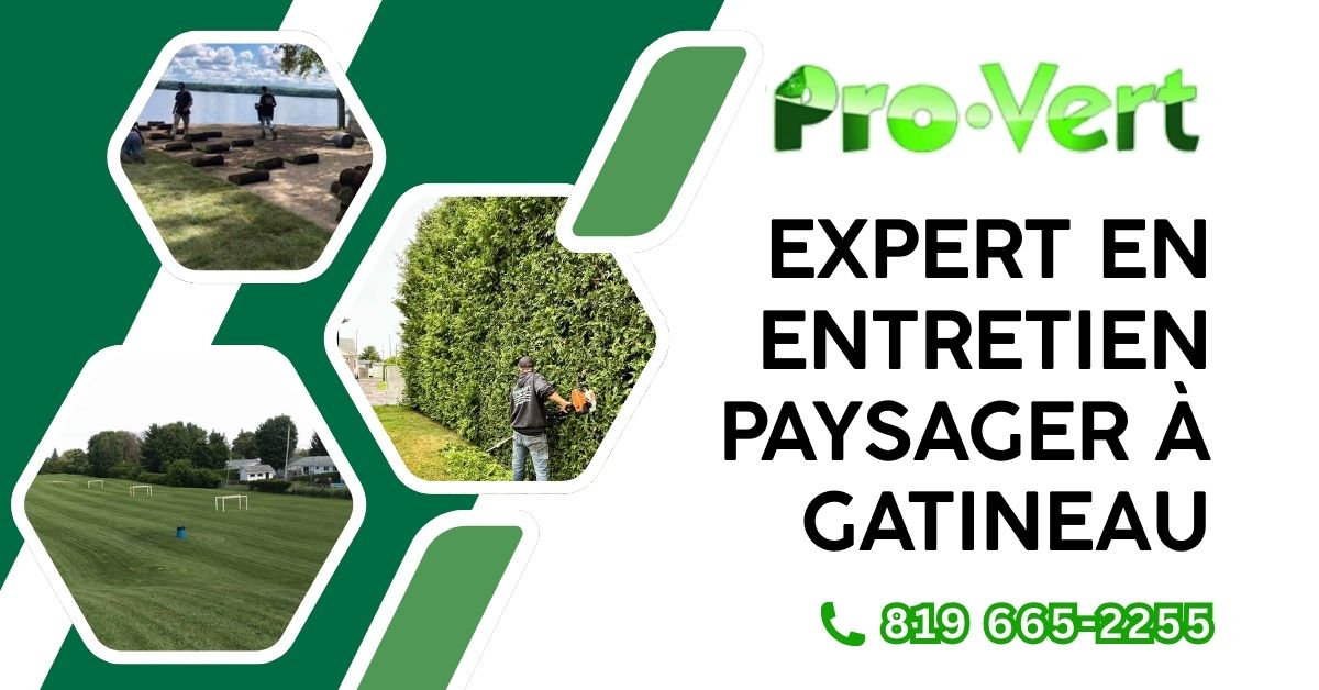 Pro vert Déneigement résidentiel