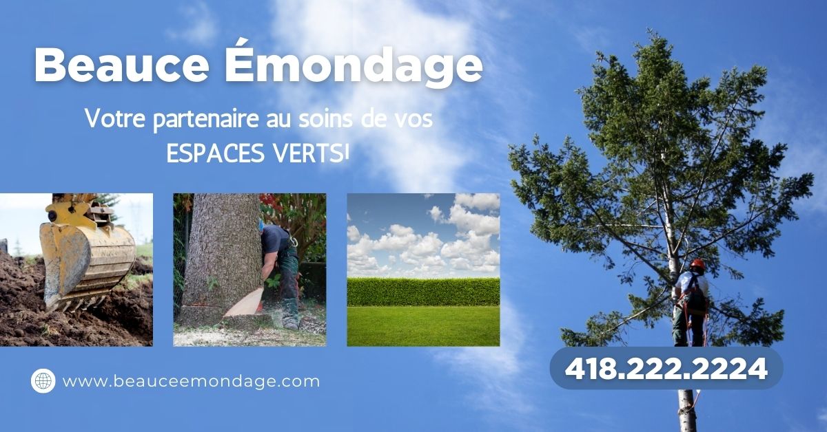 Beauce_Emondage.jpg