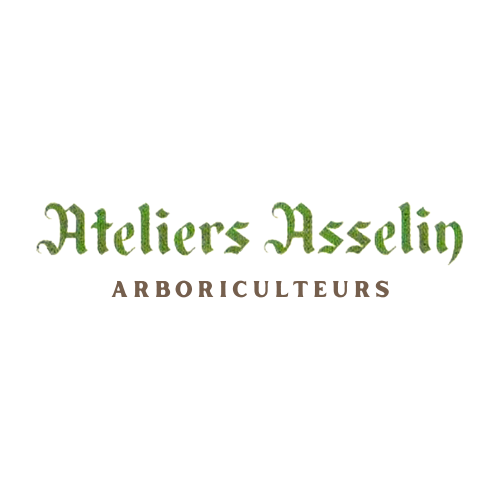 Les Ateliers Asselin - Élagage